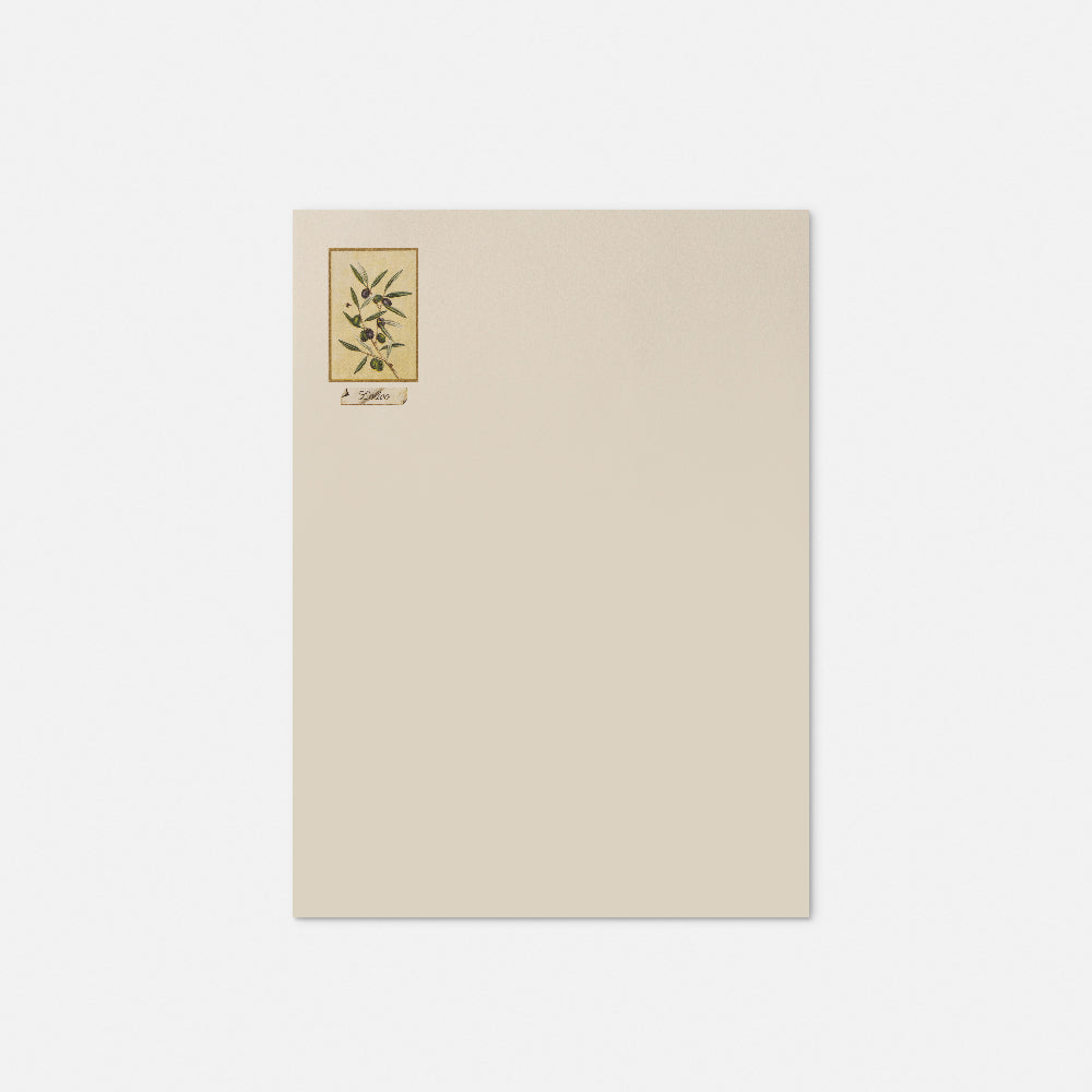 Stationery paper - Olive tree
