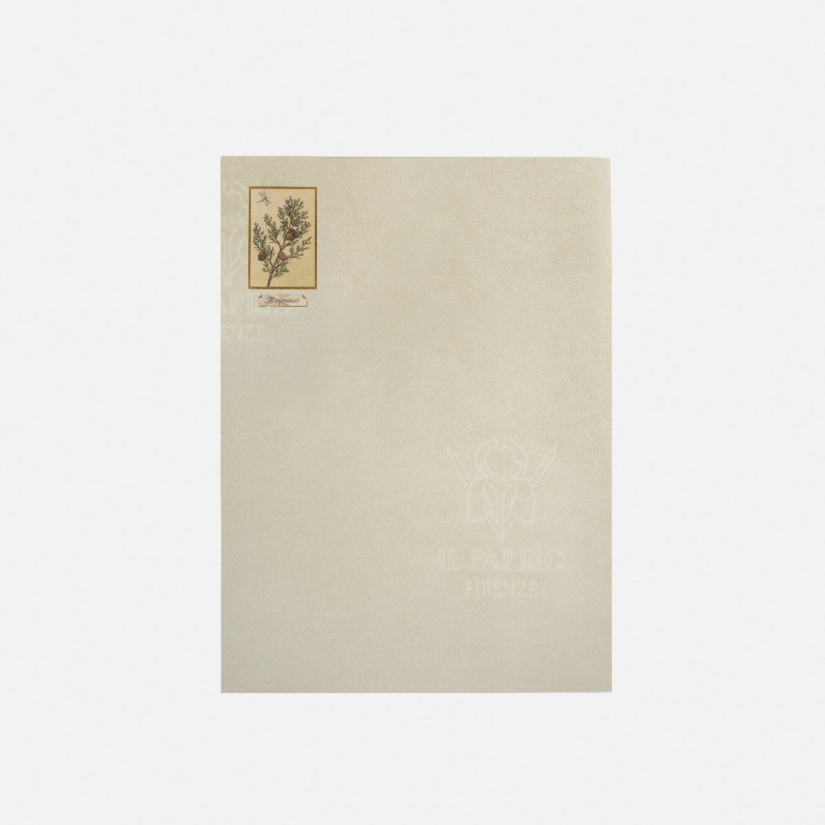 Carta da lettere - Cipresso<br>Collezione Botanica