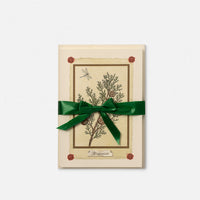 Biglietto doppio/Partecipazione con busta<br>Cipresso