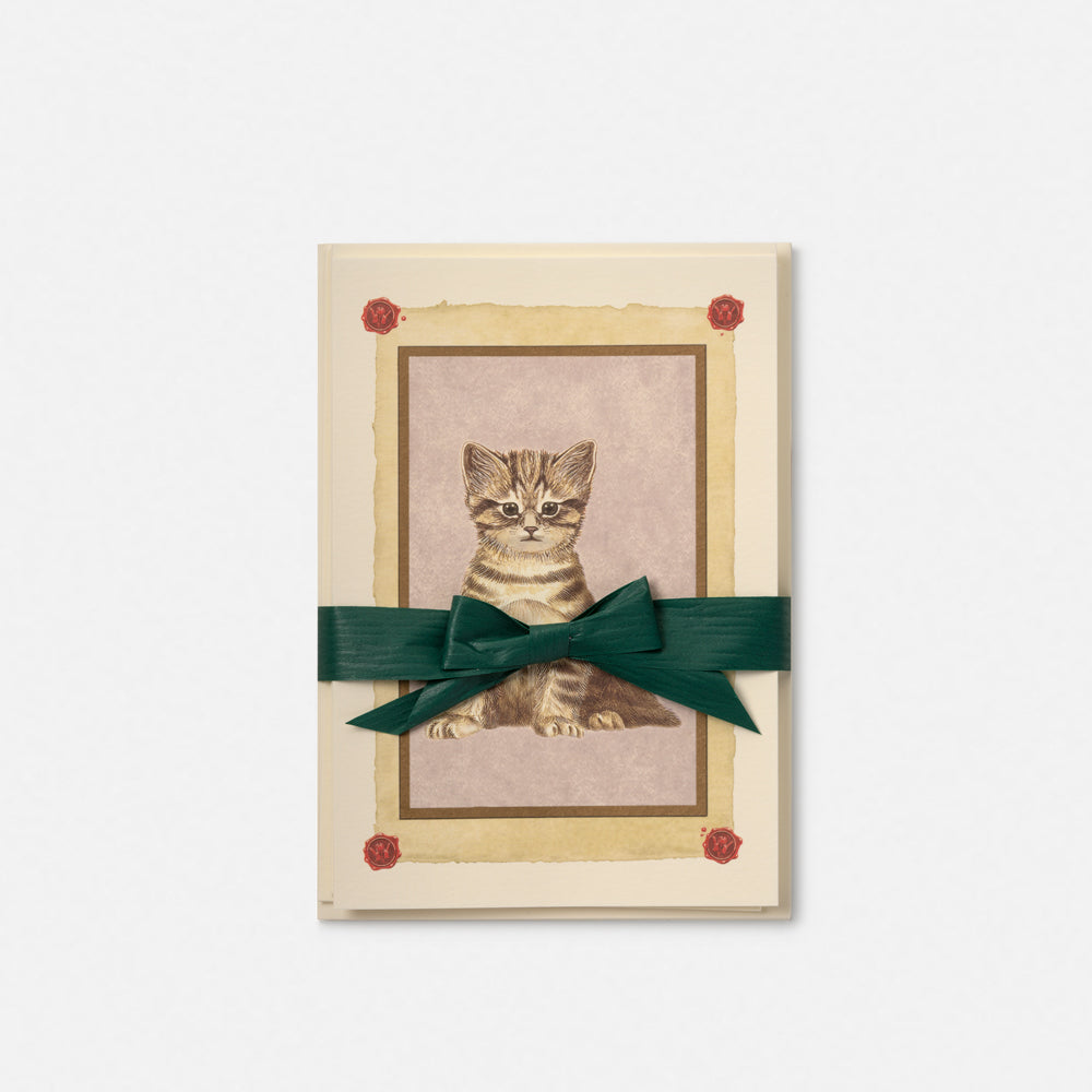 Biglietto doppio large con busta<br>Gatto grigio