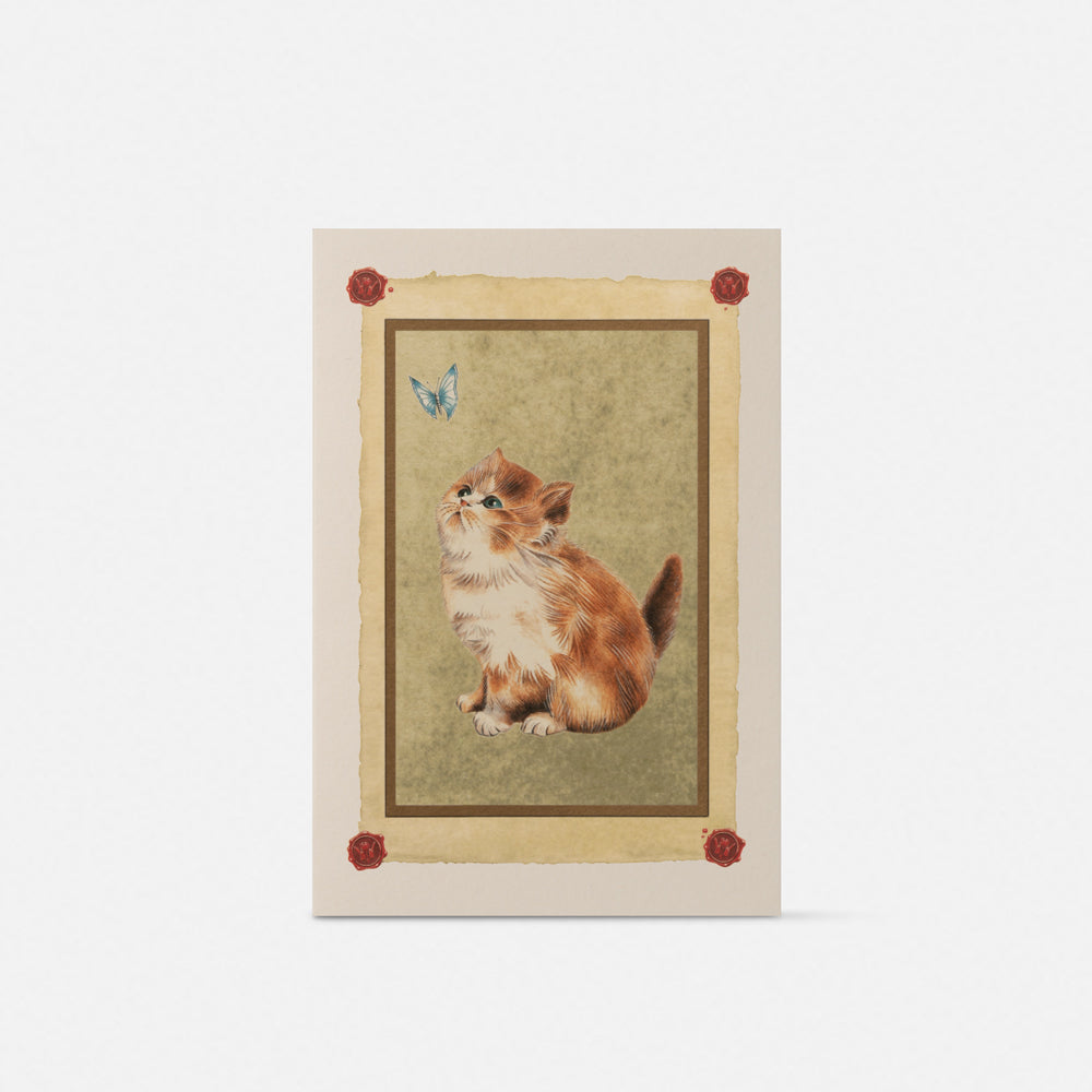 Biglietto doppio large con busta<br>Gatto con farfalla