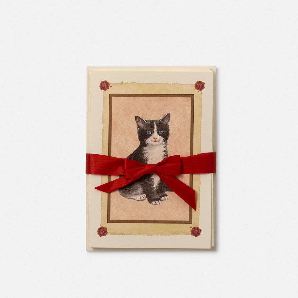 Biglietto doppio large con busta<br>Gatto bianco e nero