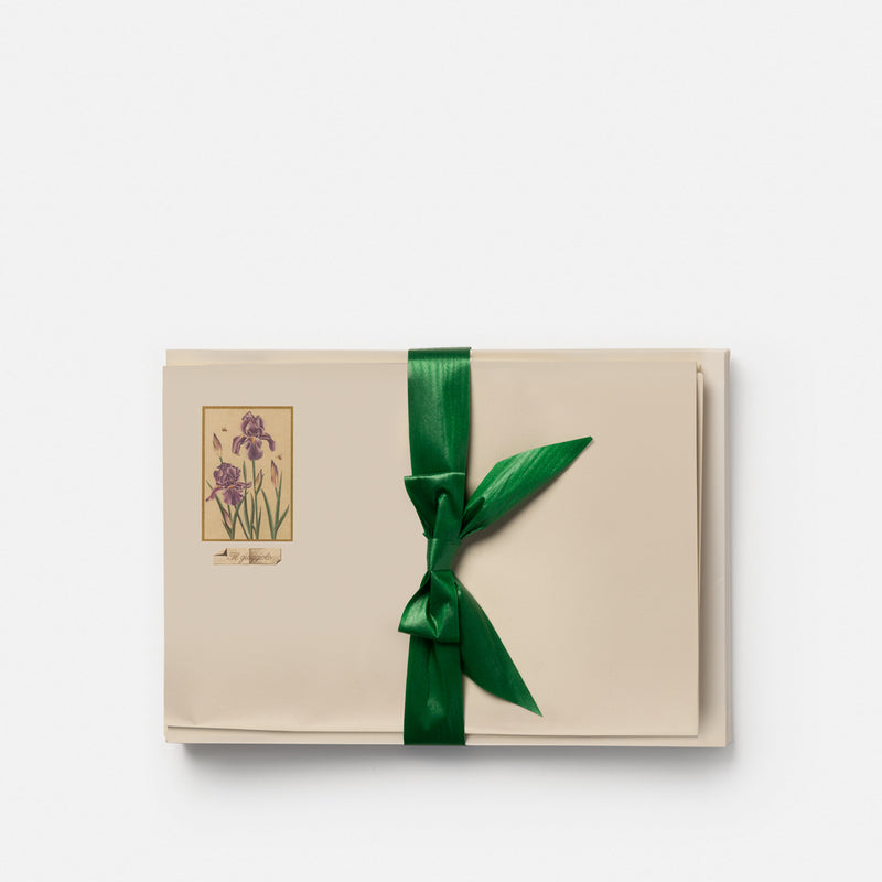 Carta da lettere - Giaggiolo<br>Collezione Botanica