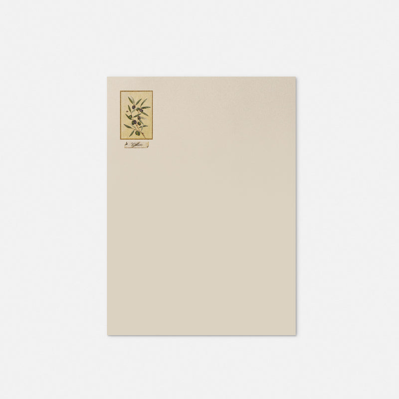 Stationery paper - Olive tree