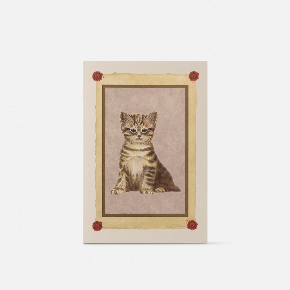 Large double card - gray cat
