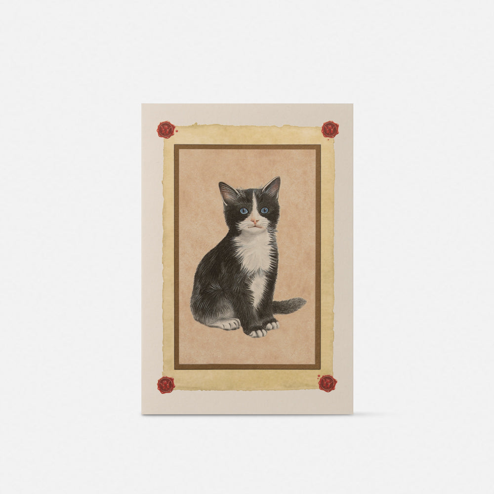 Large double card - black and white cat