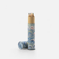 Colored pencils set - Peacocks